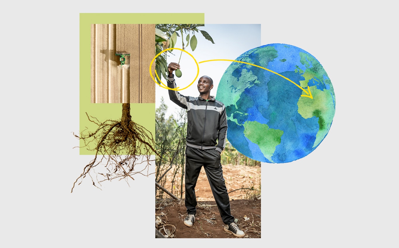 Légi felvétel egy John Deere önjáró szecskázóról, egy fáról lelógó avokádót szedő ember, és egy Afrikára mutató nyíl a Földet ábrázoló illusztráción.