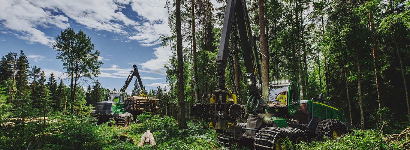 A John Deere erdészeti gépek az erdőben dolgoznak