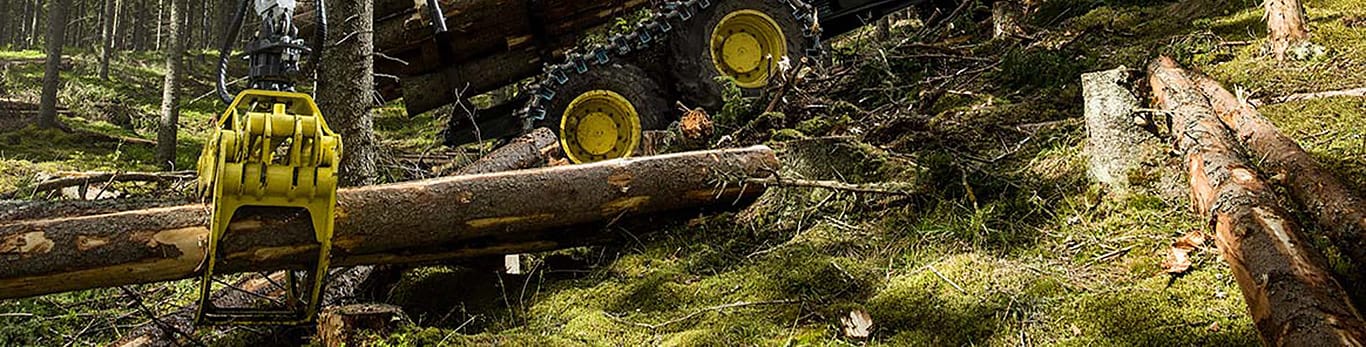 Erdőben dolgozó erdészeti gép