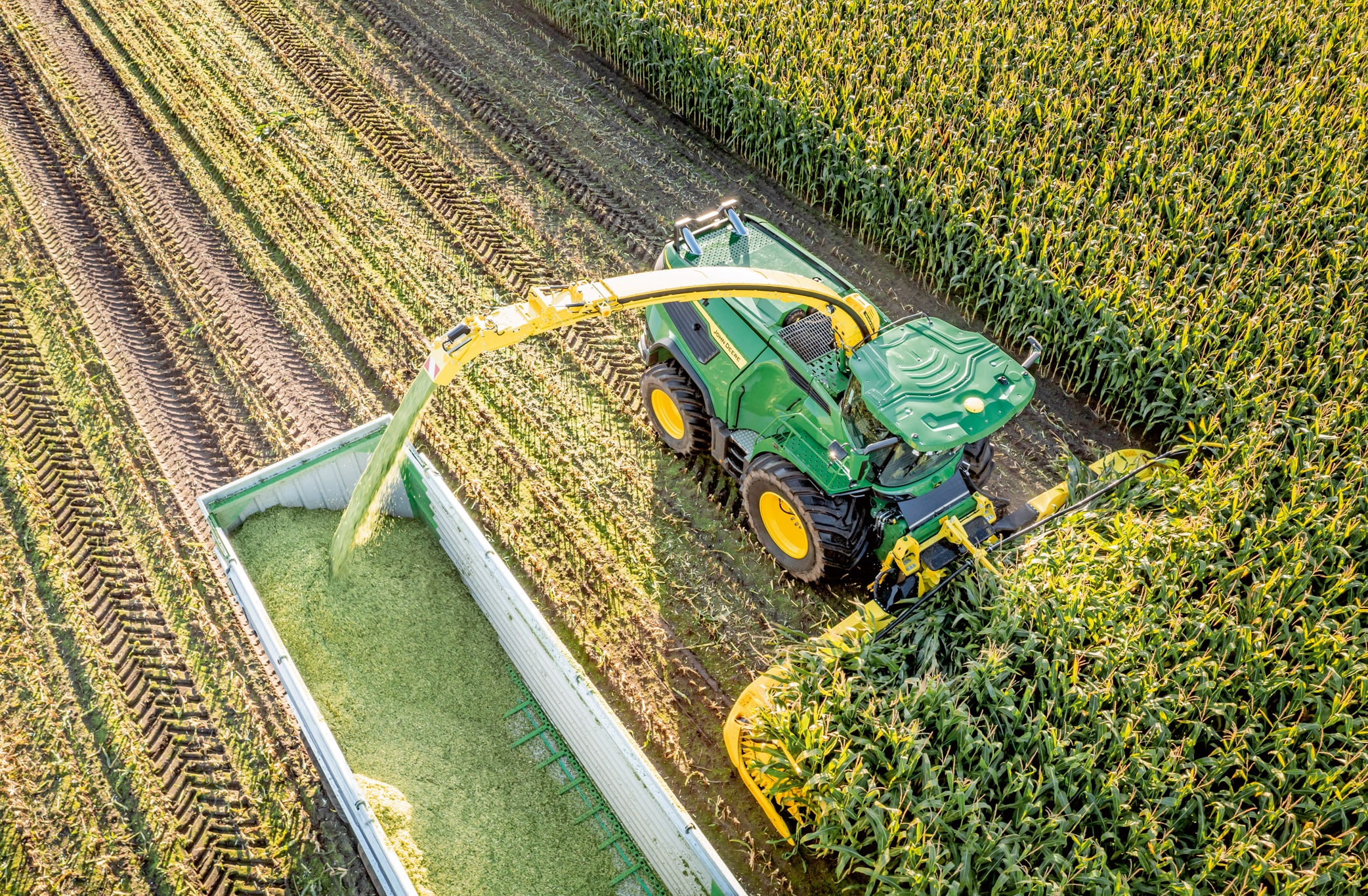 Légifelvétel egy zöld John Deere önjáró szecskázóról, amely kukoricát takarít be és szecskázott szilázst rak át egy pótkocsira egy nagy kukoricatáblán.
